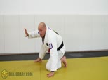 Xande's Turtle and Back Defense 2 - Activating Your Pedal Leg